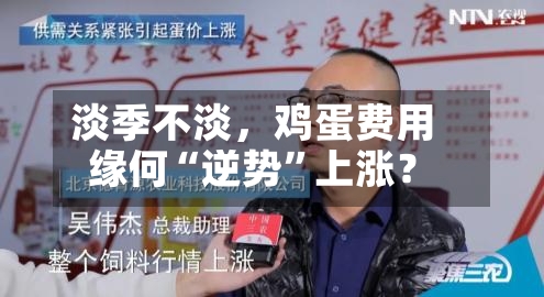淡季不淡，鸡蛋费用缘何“逆势”上涨？