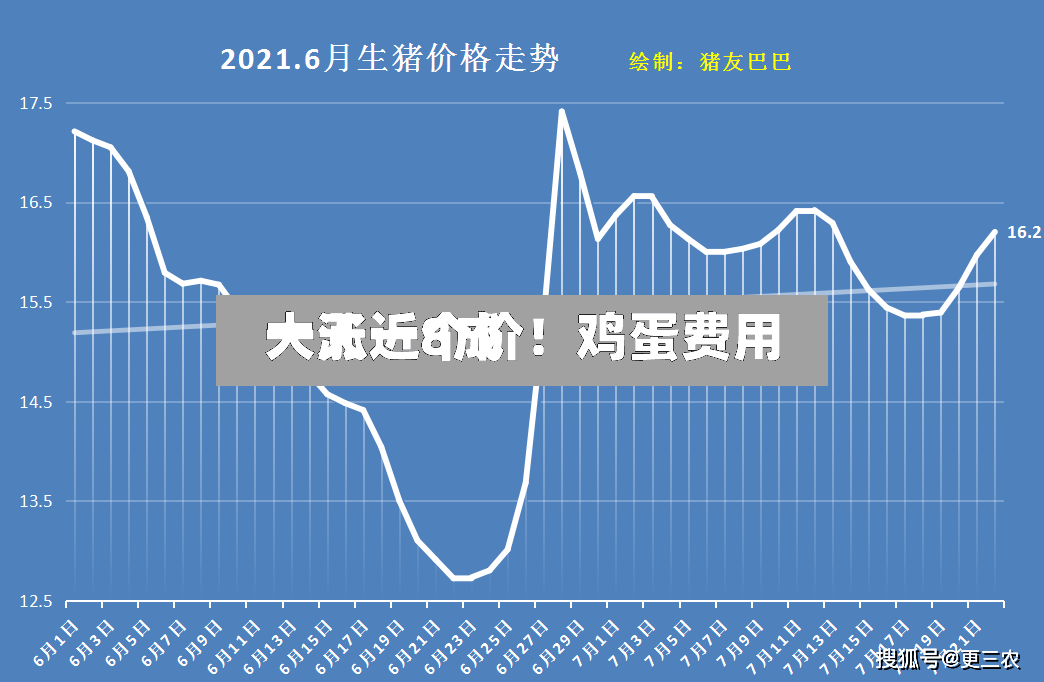 一天一个价！鸡蛋费用大涨近8成-第3张图片