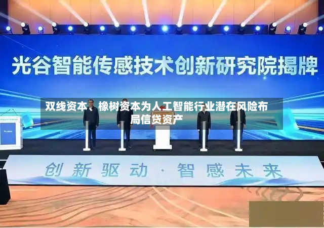 双线资本、橡树资本为人工智能行业潜在风险布局信贷资产-第2张图片