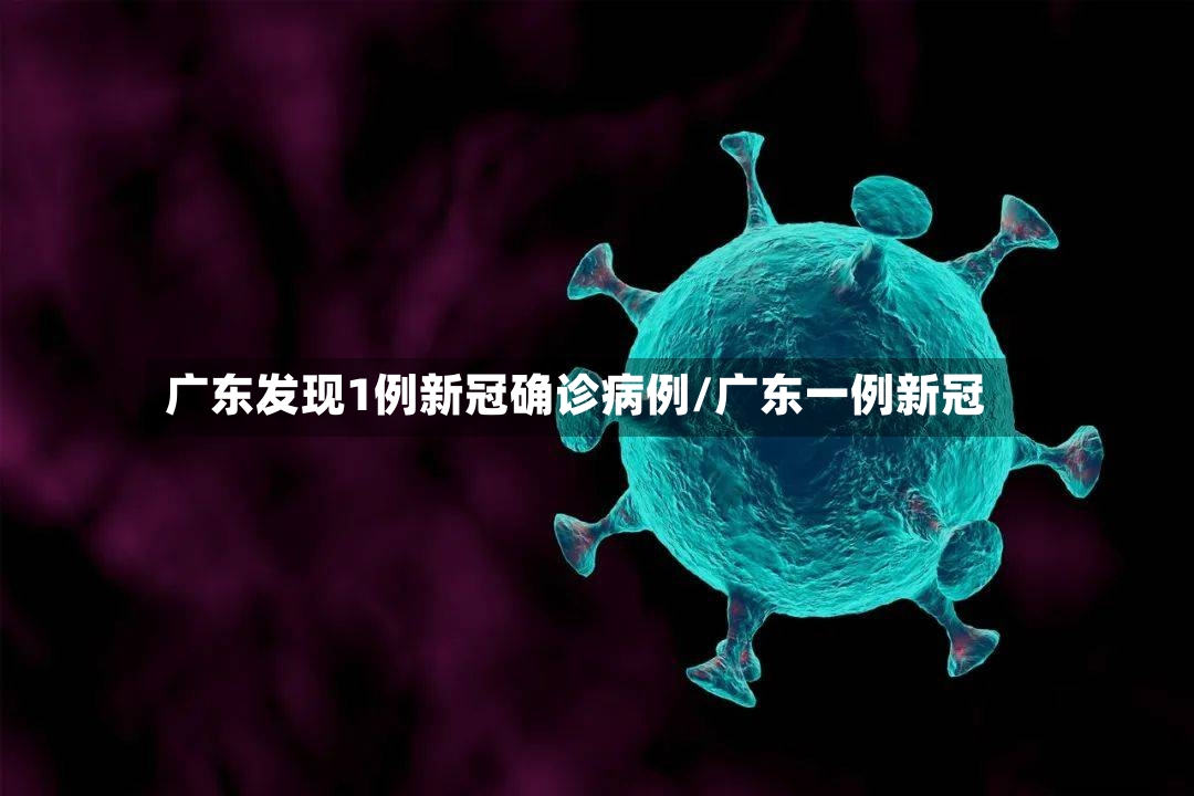 广东发现1例新冠确诊病例/广东一例新冠
