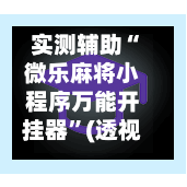 实测辅助“微乐麻将小程序万能开挂器”(透视挂)辅助透视教程
