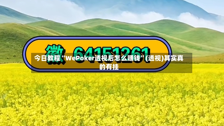 今日教程“WePoker透视后怎么赚钱”(透视)其实真的有挂