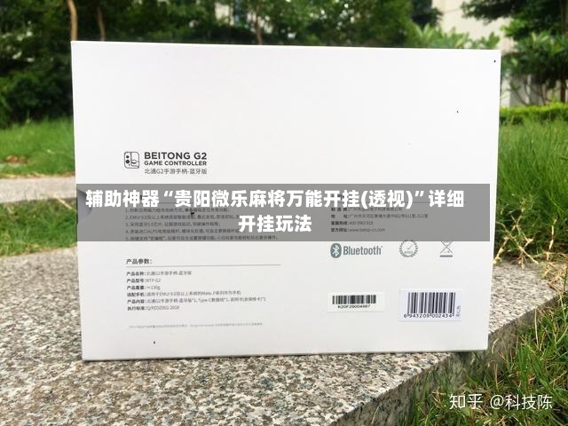辅助神器“贵阳微乐麻将万能开挂(透视)”详细开挂玩法-第3张图片