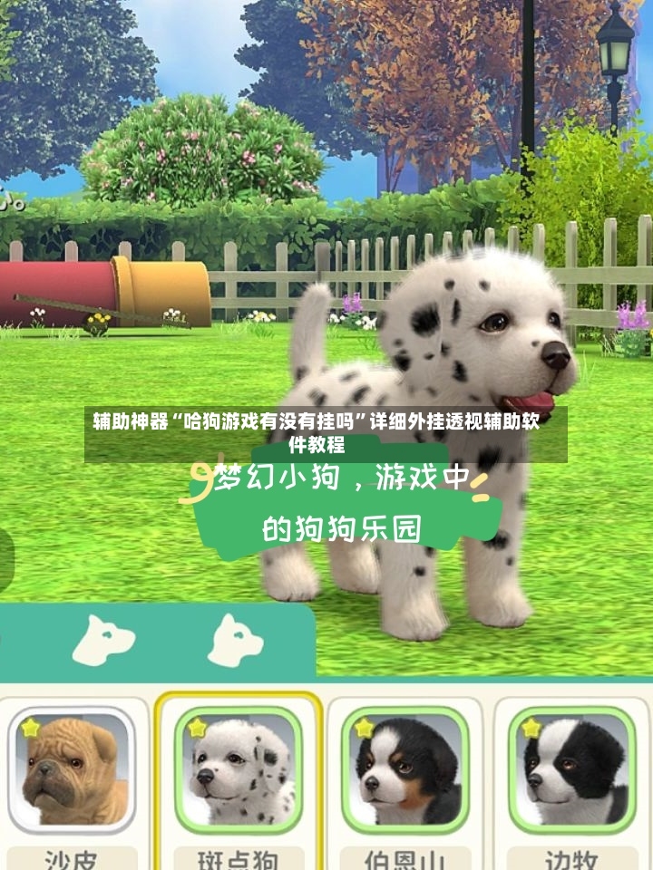 辅助神器“哈狗游戏有没有挂吗”详细外挂透视辅助软件教程-第2张图片