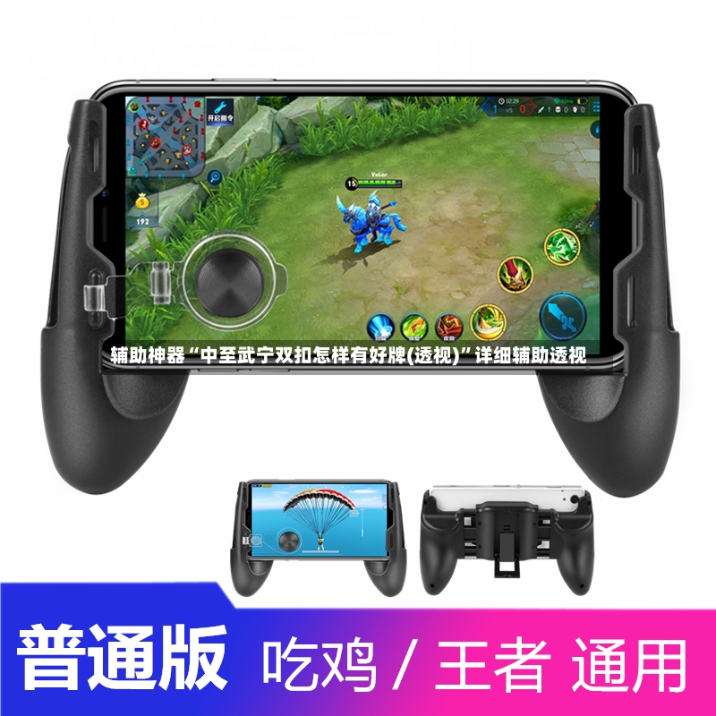 辅助神器“中至武宁双扣怎样有好牌(透视)”详细辅助透视