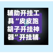 辅助开挂工具“皮皮跑胡子开挂神器	”开挂辅助脚本+详细开挂-第2张图片