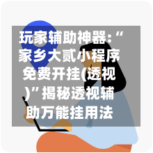 玩家辅助神器:“家乡大贰小程序免费开挂(透视)”揭秘透视辅助万能挂用法-第2张图片
