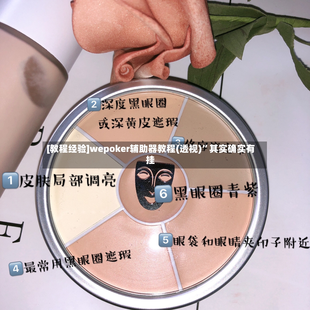 [教程经验]wepoker辅助器教程(透视)”其实确实有挂