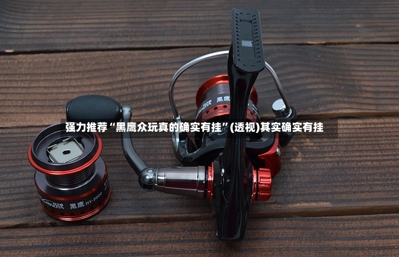 强力推荐“黑鹰众玩真的确实有挂	”(透视)其实确实有挂-第3张图片