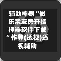 辅助神器“微乐亲友房开挂神器软件下载”作弊(透视)透视辅助-第2张图片