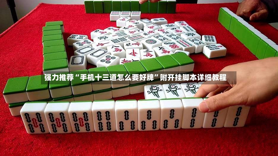 强力推荐“手机十三道怎么要好牌”附开挂脚本详细教程