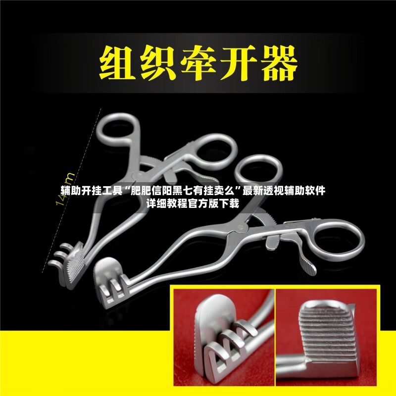 辅助开挂工具“肥肥信阳黑七有挂卖么”最新透视辅助软件详细教程官方版下载