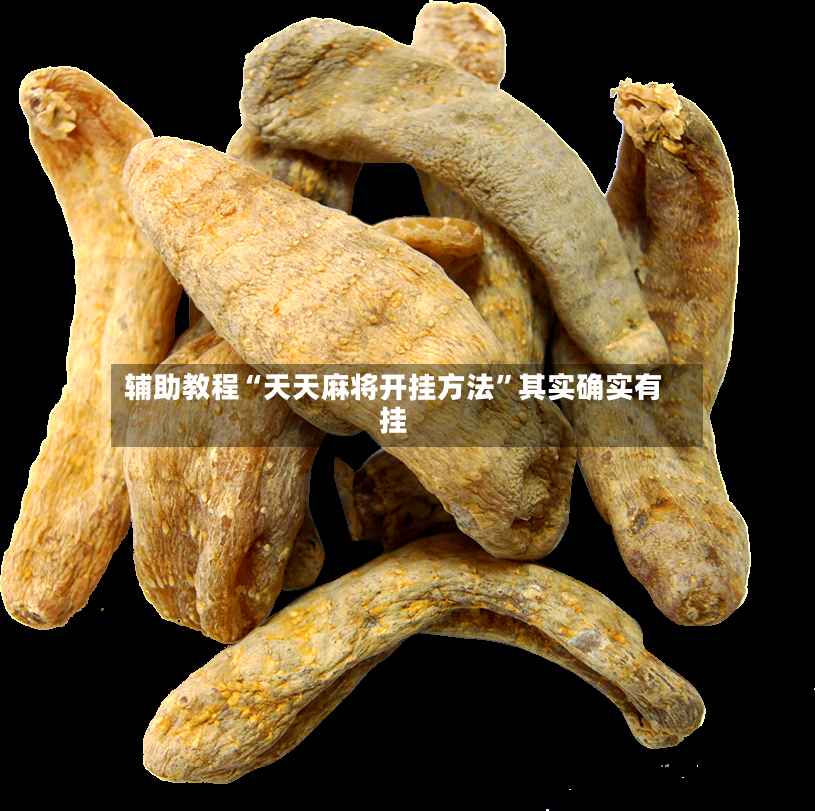 辅助教程“天天麻将开挂方法”其实确实有挂-第3张图片