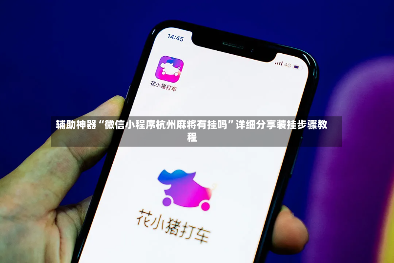 辅助神器“微信小程序杭州麻将有挂吗”详细分享装挂步骤教程-第3张图片