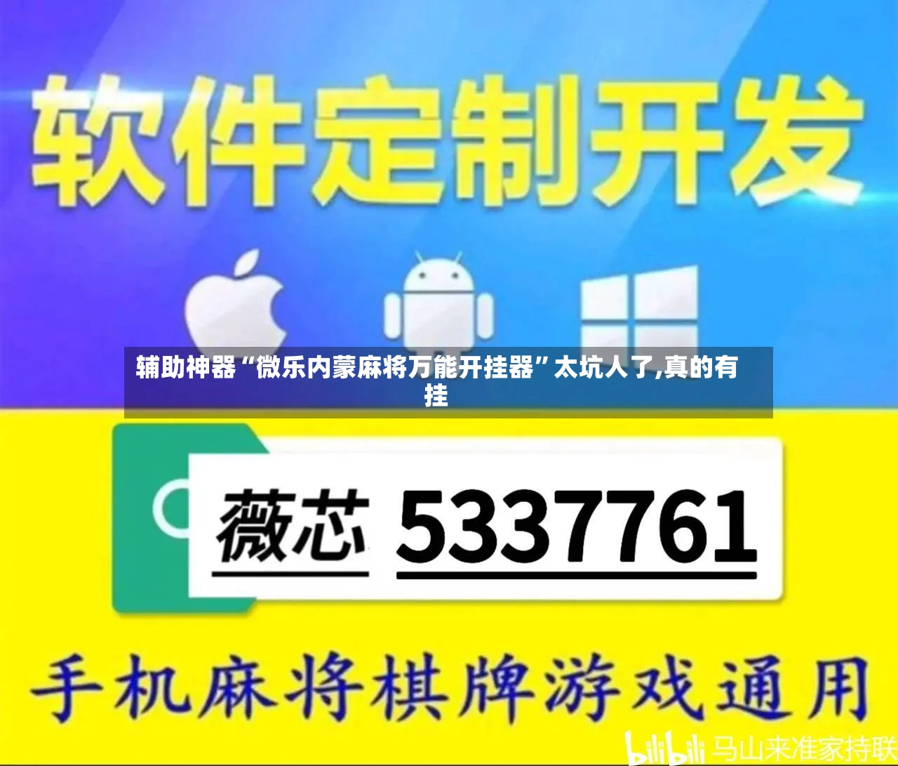 辅助神器“微乐内蒙麻将万能开挂器	”太坑人了,真的有挂-第2张图片
