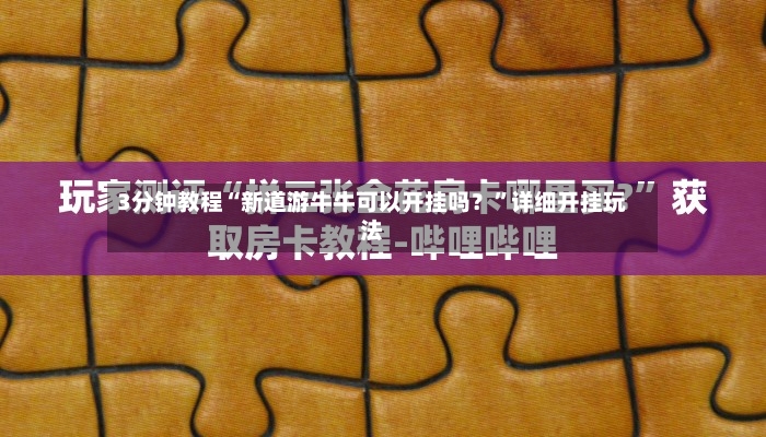 3分钟教程“新道游牛牛可以开挂吗？”详细开挂玩法-第2张图片