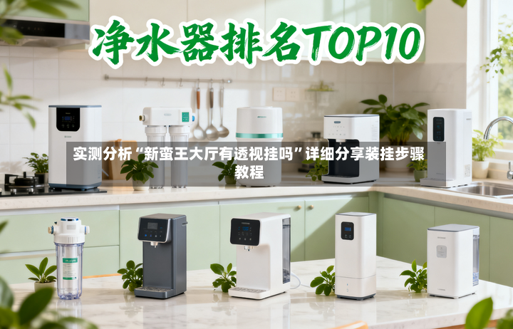 实测分析“新蛮王大厅有透视挂吗”详细分享装挂步骤教程-第3张图片