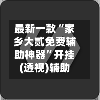 最新一款“家乡大贰免费辅助神器”开挂(透视)辅助-第2张图片