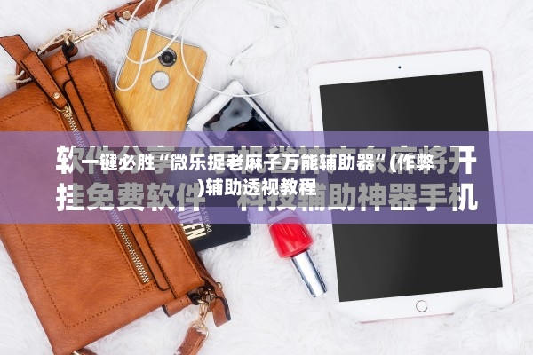 一键必胜“微乐捉老麻子万能辅助器”(作弊)辅助透视教程-第2张图片