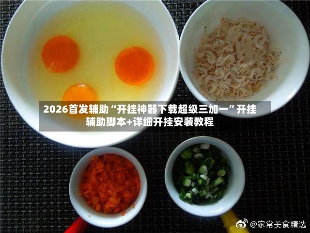 2026首发辅助“开挂神器下载超级三加一	”开挂辅助脚本+详细开挂安装教程-第1张图片