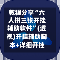 教程分享“六人拼三张开挂辅助软件	”(透视)开挂辅助脚本+详细开挂安装教程-第2张图片