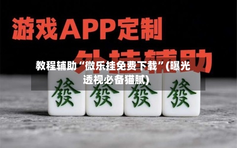 教程辅助“微乐挂免费下载”(曝光透视必备猫腻)