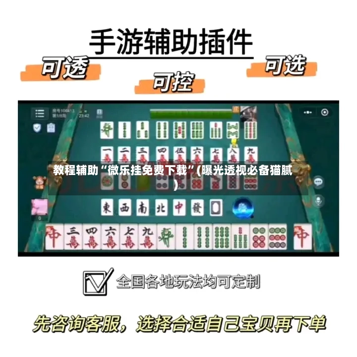 教程辅助“微乐挂免费下载”(曝光透视必备猫腻)-第2张图片