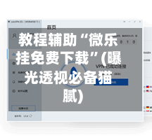 教程辅助“微乐挂免费下载”(曝光透视必备猫腻)-第3张图片