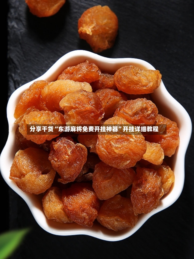 分享干货“东游麻将免费开挂神器”开挂详细教程