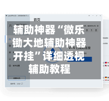 辅助神器“微乐锄大地辅助神器开挂”详细透视辅助教程-第3张图片