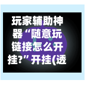 玩家辅助神器“随意玩链接怎么开挂?	”开挂(透视)辅助教程-第3张图片