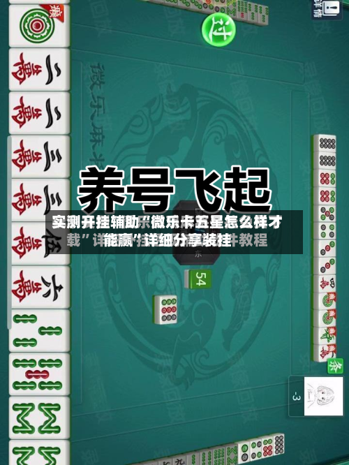 实测开挂辅助“微乐卡五星怎么样才能赢”详细分享装挂-第2张图片