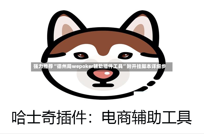 强力推荐“德州局wepoker辅助插件工具	”附开挂脚本详细步-第3张图片