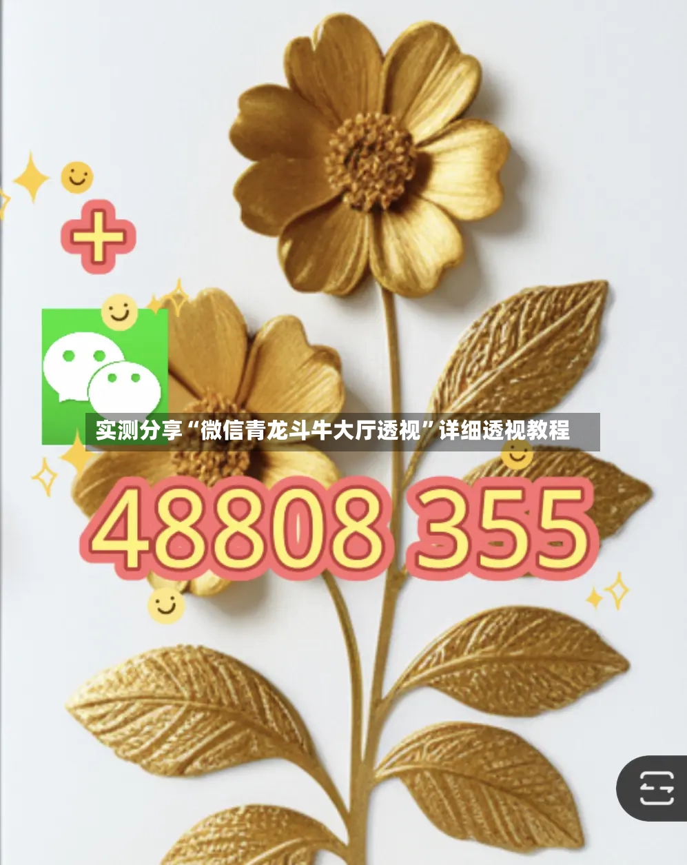 实测分享“微信青龙斗牛大厅透视”详细透视教程-第2张图片