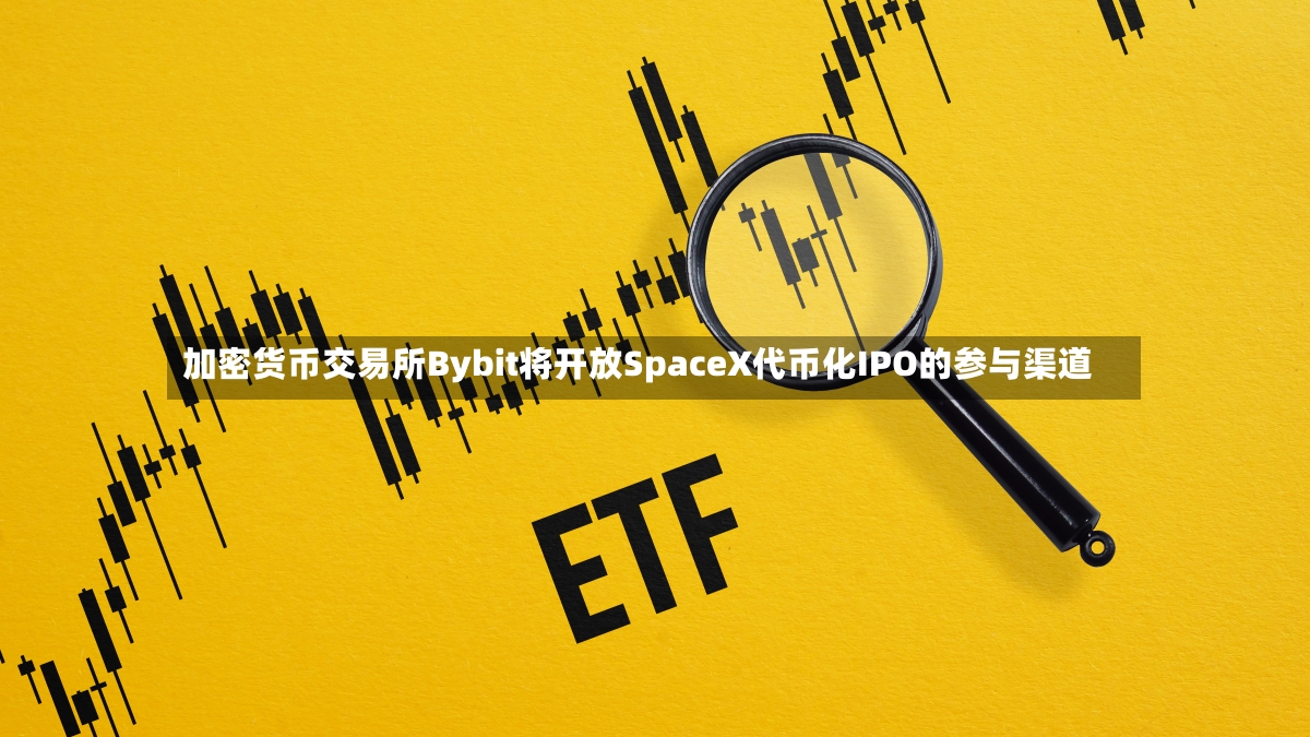 加密货币交易所Bybit将开放SpaceX代币化IPO的参与渠道-第3张图片
