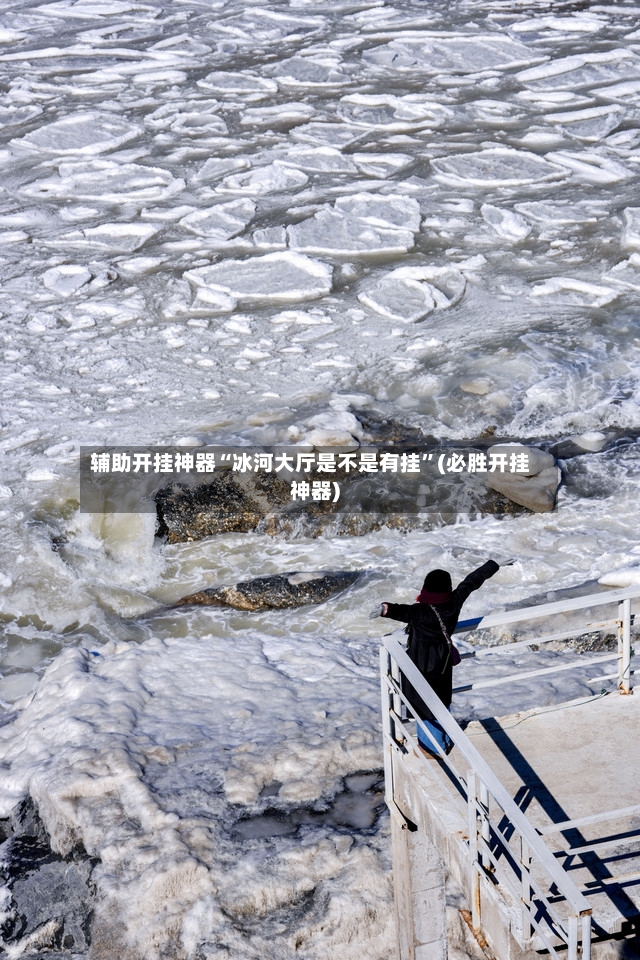 辅助开挂神器“冰河大厅是不是有挂”(必胜开挂神器)-第3张图片