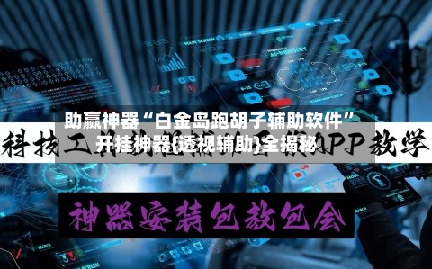 助赢神器“白金岛跑胡子辅助软件”开挂神器{透视辅助}全揭秘-第2张图片
