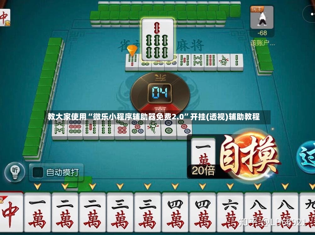 教大家使用“微乐小程序辅助器免费2.0”开挂(透视)辅助教程-第2张图片