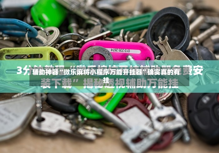 辅助神器“微乐麻将小程序万能开挂器”确实真的有挂