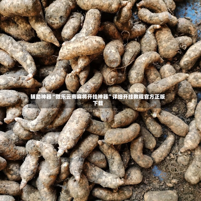 辅助神器“微乐云南麻将开挂神器”详细开挂教程官方正版下载-第2张图片