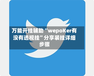 万能开挂辅助“wepoKer有没有透视挂	”分享装挂详细步骤-第2张图片