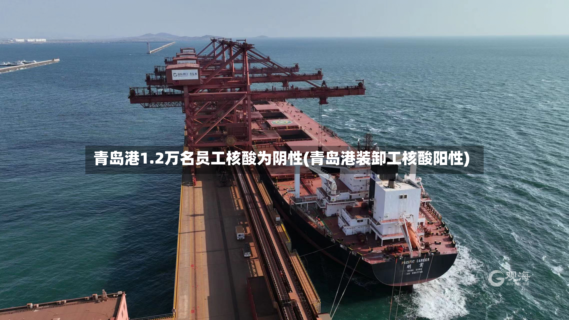 青岛港1.2万名员工核酸为阴性(青岛港装卸工核酸阳性)-第3张图片