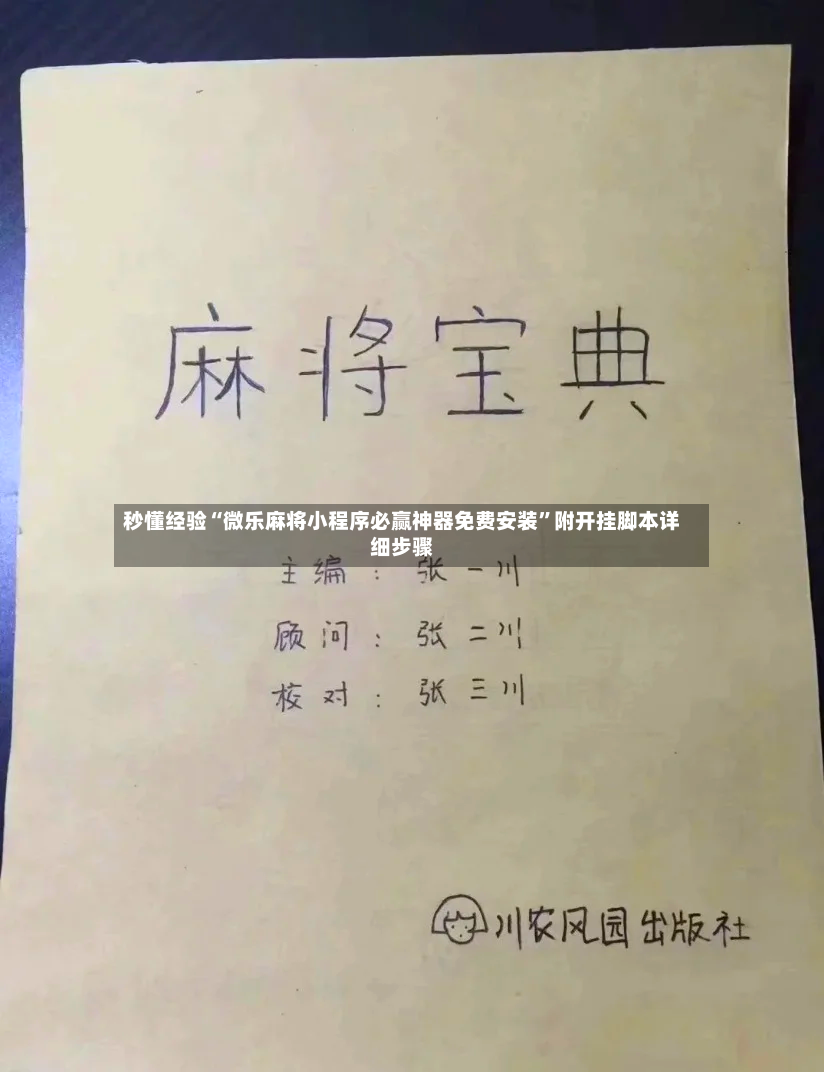 秒懂经验“微乐麻将小程序必赢神器免费安装”附开挂脚本详细步骤-第2张图片
