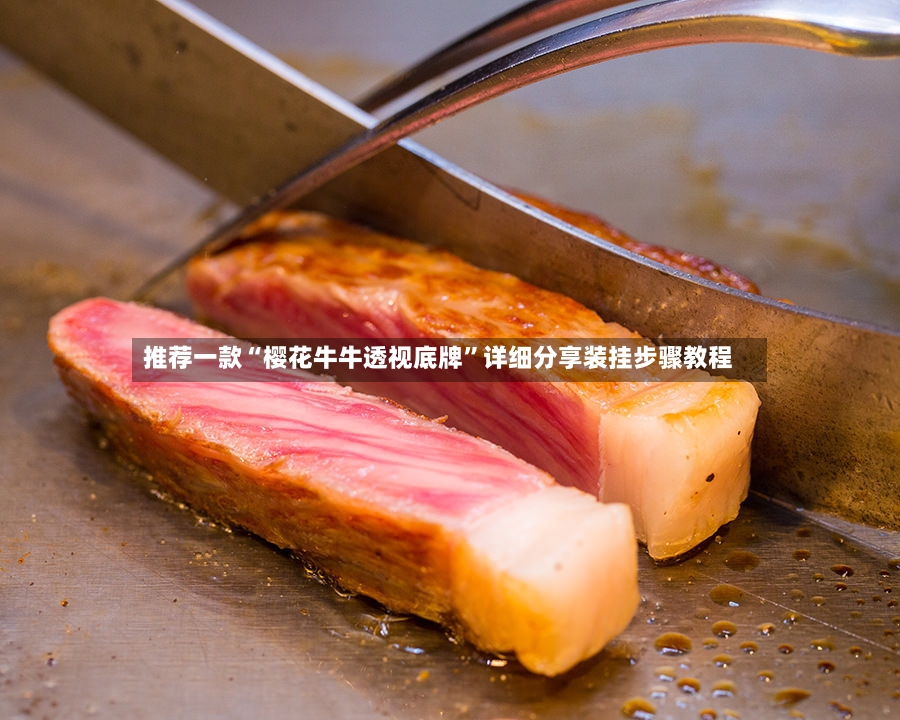 推荐一款“樱花牛牛透视底牌”详细分享装挂步骤教程-第2张图片