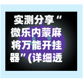 实测分享“微乐内蒙麻将万能开挂器”(详细透视教程)-第2张图片