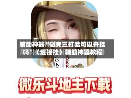 辅助神器“微壳三打哈可以开挂吗”（透视挂）辅助神器教程-第2张图片
