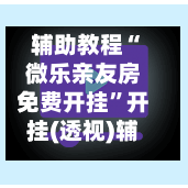 辅助教程“微乐亲友房免费开挂”开挂(透视)辅助神器-第3张图片