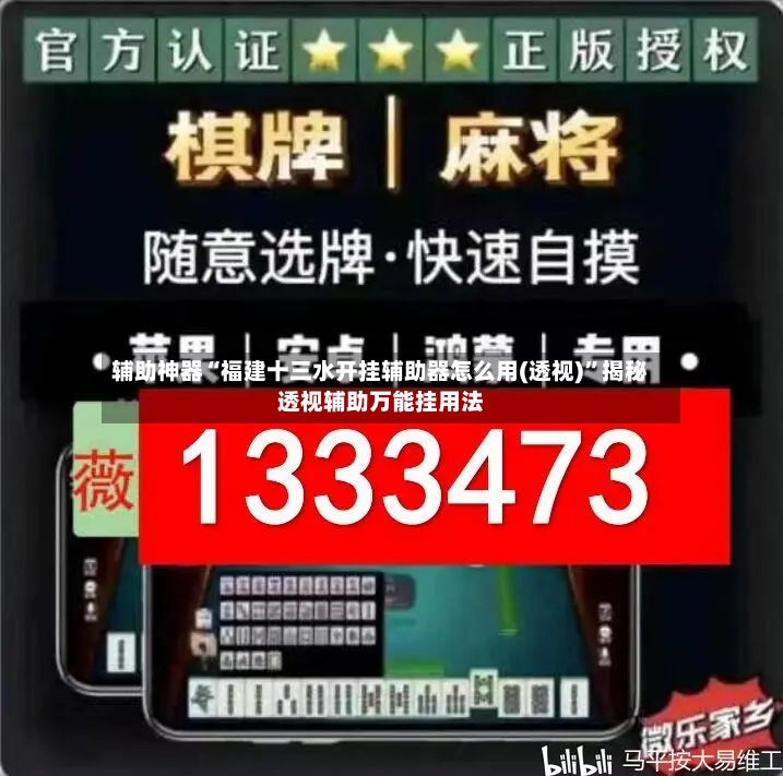 辅助神器“福建十三水开挂辅助器怎么用(透视)”揭秘透视辅助万能挂用法-第3张图片