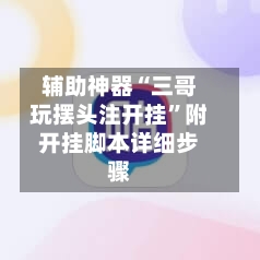 辅助神器“三哥玩摆头注开挂”附开挂脚本详细步骤-第2张图片