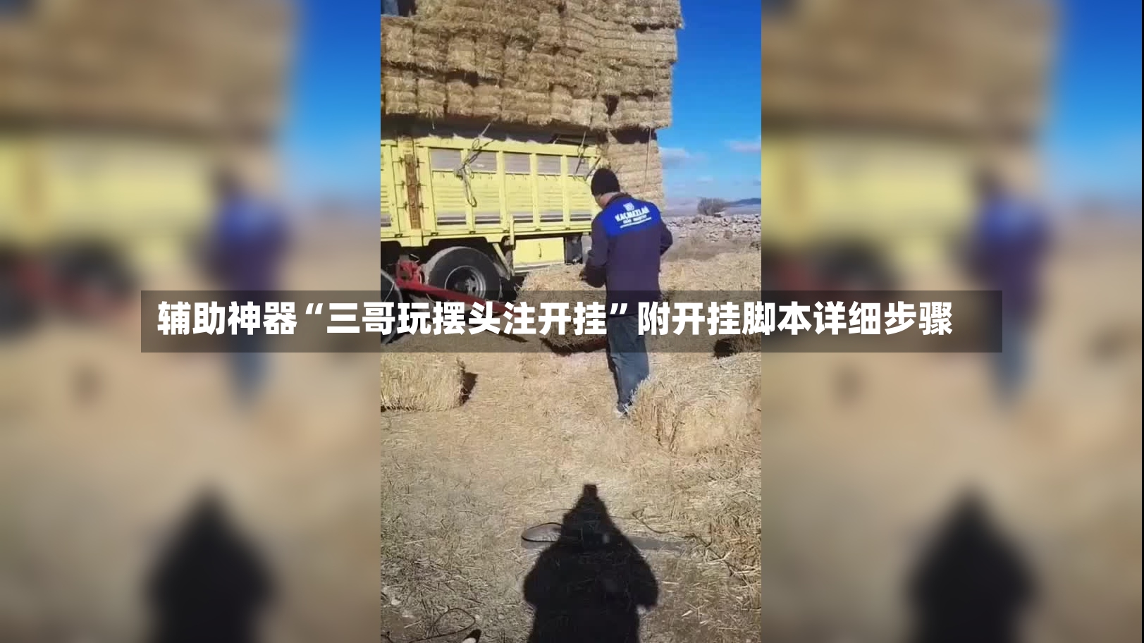 辅助神器“三哥玩摆头注开挂”附开挂脚本详细步骤-第3张图片